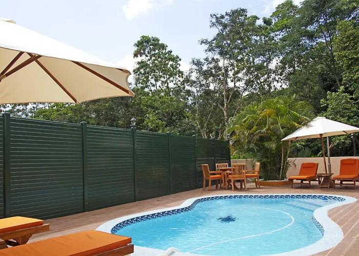 The Palm Seychelles